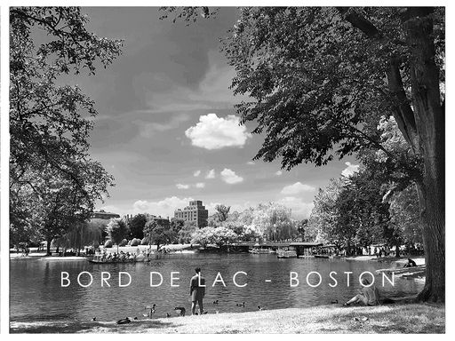 Bord de lac - Boston