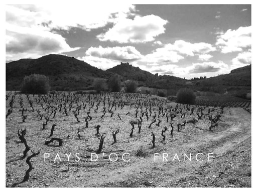 Pays d'Oc - France